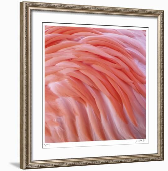 Pink Perfection 3-Joy Doherty-Framed Giclee Print