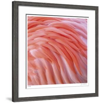 Pink Perfection 3-Joy Doherty-Framed Giclee Print