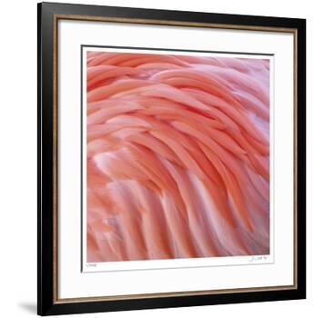 Pink Perfection 3-Joy Doherty-Framed Giclee Print