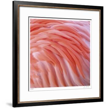 Pink Perfection 3-Joy Doherty-Framed Giclee Print