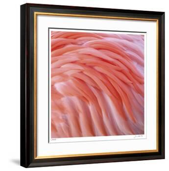 Pink Perfection 3-Joy Doherty-Framed Giclee Print