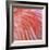 Pink Perfection 3-Joy Doherty-Framed Giclee Print