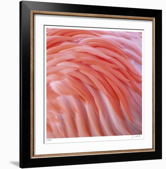 Pink Perfection 3-Joy Doherty-Framed Giclee Print