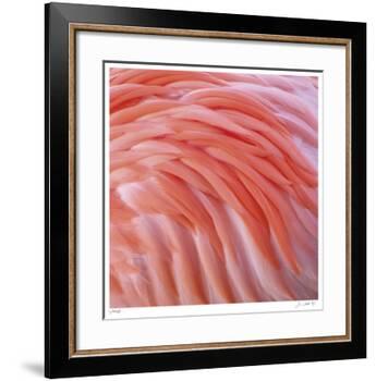 Pink Perfection 3-Joy Doherty-Framed Giclee Print