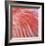 Pink Perfection 3-Joy Doherty-Framed Giclee Print