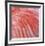 Pink Perfection 3-Joy Doherty-Framed Giclee Print