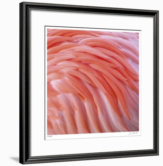 Pink Perfection 3-Joy Doherty-Framed Giclee Print