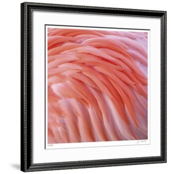 Pink Perfection 3-Joy Doherty-Framed Giclee Print
