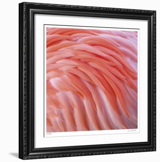 Pink Perfection 3-Joy Doherty-Framed Giclee Print