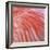 Pink Perfection 3-Joy Doherty-Framed Giclee Print