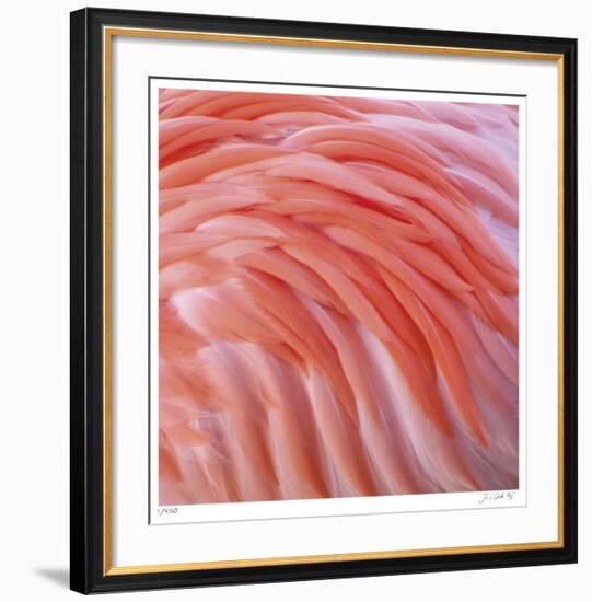 Pink Perfection 3-Joy Doherty-Framed Giclee Print