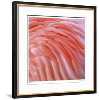 Pink Perfection 3-Joy Doherty-Framed Giclee Print