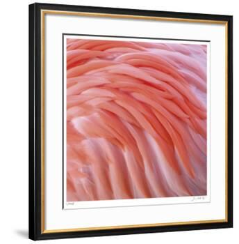 Pink Perfection 3-Joy Doherty-Framed Giclee Print