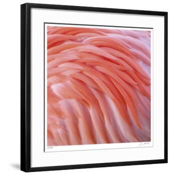 Pink Perfection 3-Joy Doherty-Framed Giclee Print