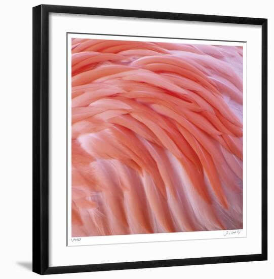 Pink Perfection 3-Joy Doherty-Framed Giclee Print