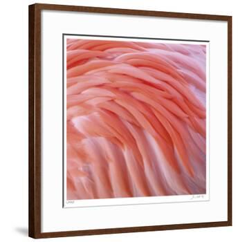 Pink Perfection 3-Joy Doherty-Framed Giclee Print
