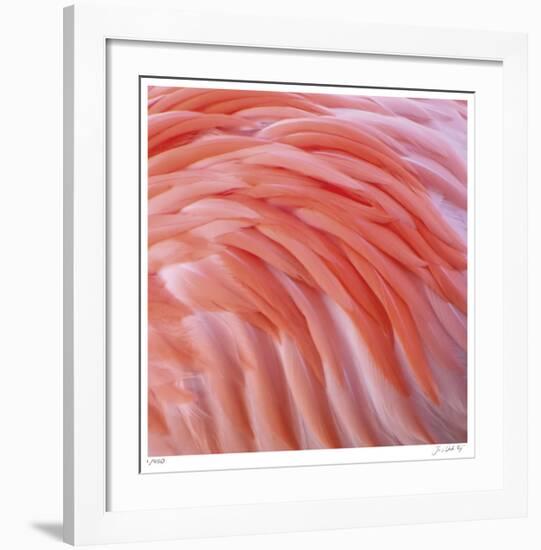 Pink Perfection 3-Joy Doherty-Framed Giclee Print