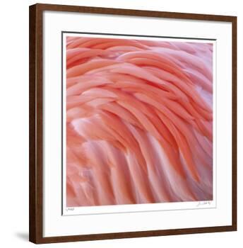 Pink Perfection 3-Joy Doherty-Framed Giclee Print