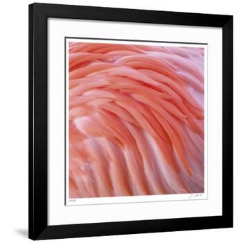 Pink Perfection 3-Joy Doherty-Framed Giclee Print