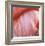 Pink Perfection 4-Joy Doherty-Framed Giclee Print