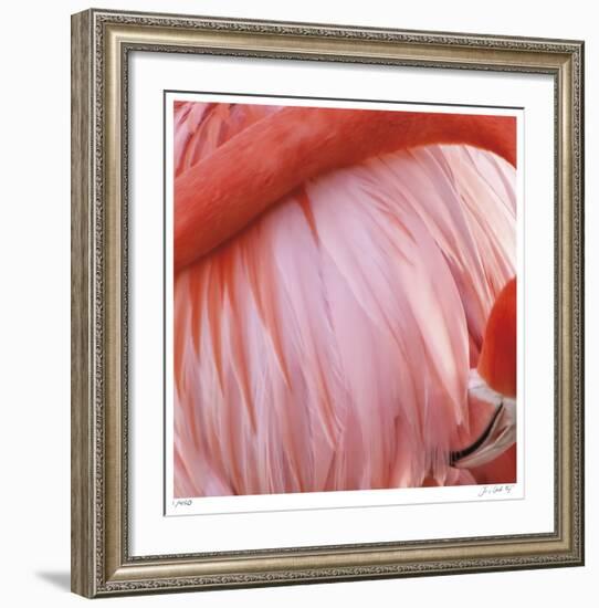 Pink Perfection 4-Joy Doherty-Framed Giclee Print