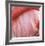 Pink Perfection 4-Joy Doherty-Framed Giclee Print