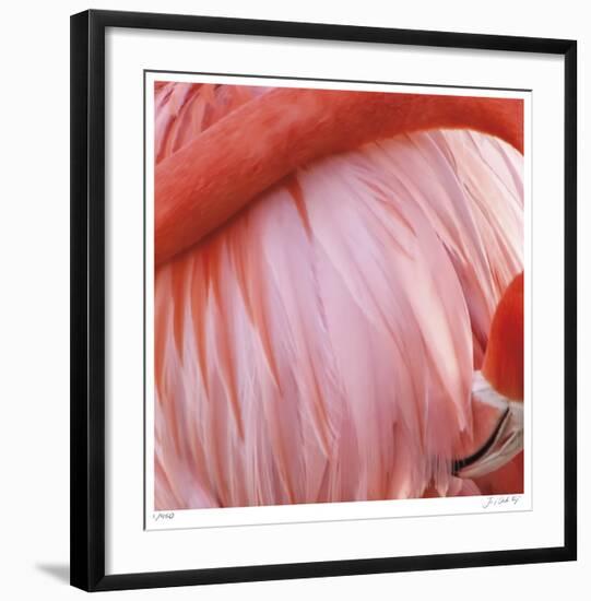 Pink Perfection 4-Joy Doherty-Framed Giclee Print