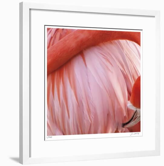 Pink Perfection 4-Joy Doherty-Framed Giclee Print