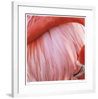 Pink Perfection 4-Joy Doherty-Framed Giclee Print