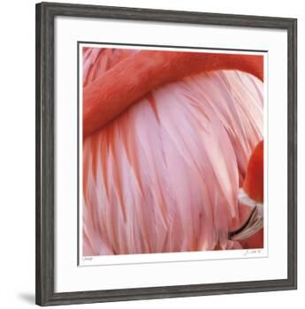 Pink Perfection 4-Joy Doherty-Framed Giclee Print