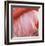 Pink Perfection 4-Joy Doherty-Framed Giclee Print