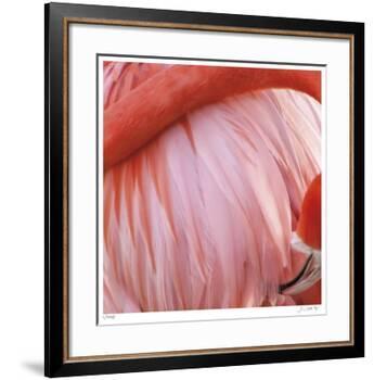 Pink Perfection 4-Joy Doherty-Framed Giclee Print