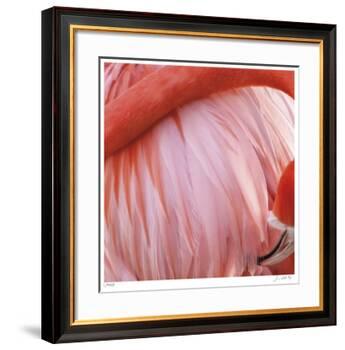 Pink Perfection 4-Joy Doherty-Framed Giclee Print