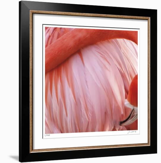 Pink Perfection 4-Joy Doherty-Framed Giclee Print