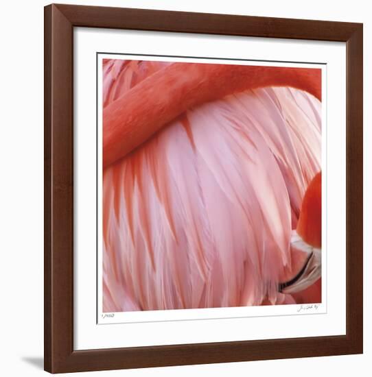 Pink Perfection 4-Joy Doherty-Framed Giclee Print