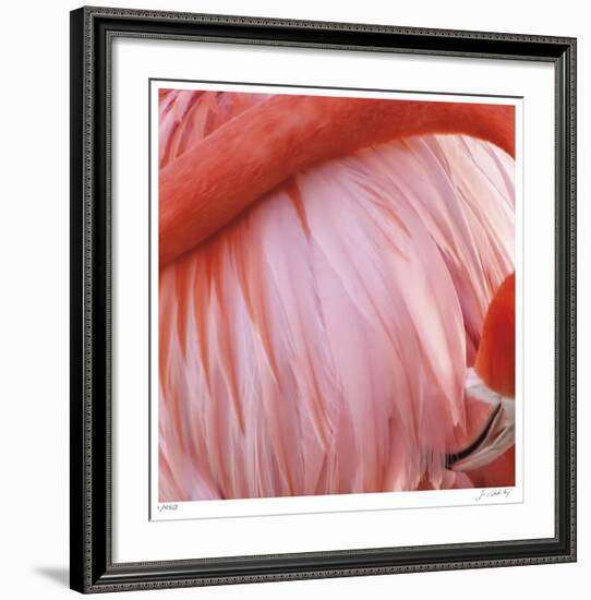 Pink Perfection 4-Joy Doherty-Framed Giclee Print