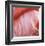 Pink Perfection 4-Joy Doherty-Framed Giclee Print