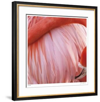 Pink Perfection 4-Joy Doherty-Framed Giclee Print
