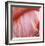 Pink Perfection 4-Joy Doherty-Framed Giclee Print