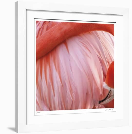 Pink Perfection 4-Joy Doherty-Framed Giclee Print