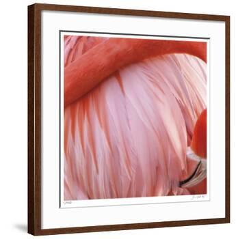 Pink Perfection 4-Joy Doherty-Framed Giclee Print