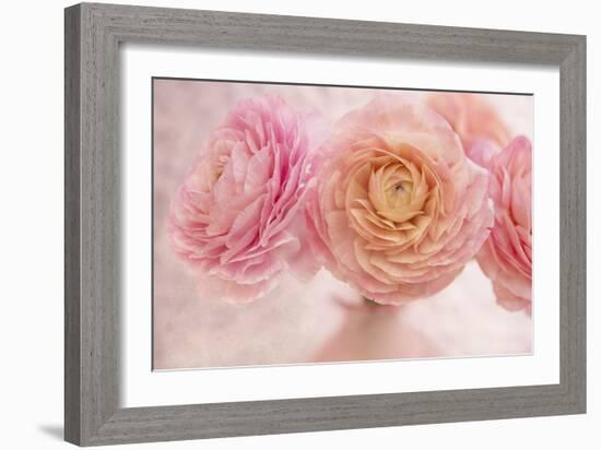 Pink Persian Buttercup Bouquet-Cora Niele-Framed Photographic Print
