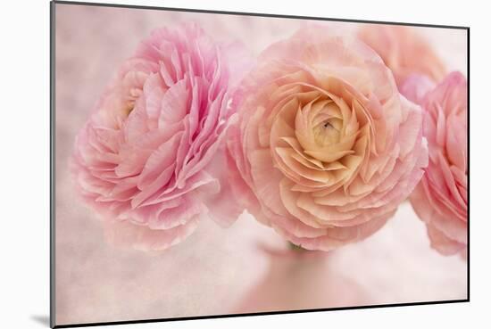 Pink Persian Buttercup Bouquet-Cora Niele-Mounted Photographic Print