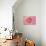 Pink Persian Buttercup Flower-Cora Niele-Photographic Print displayed on a wall