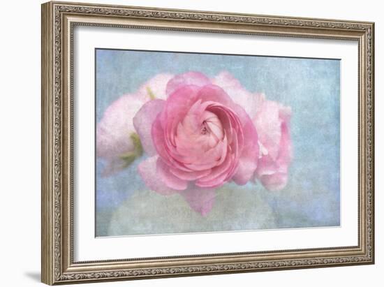 Pink Persian Buttercup Still Life-Cora Niele-Framed Photographic Print