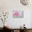 Pink Persian Buttercup Still Life-Cora Niele-Photographic Print displayed on a wall