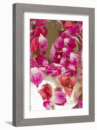 Pink Petals Abstract II-Karyn Millet-Framed Photographic Print