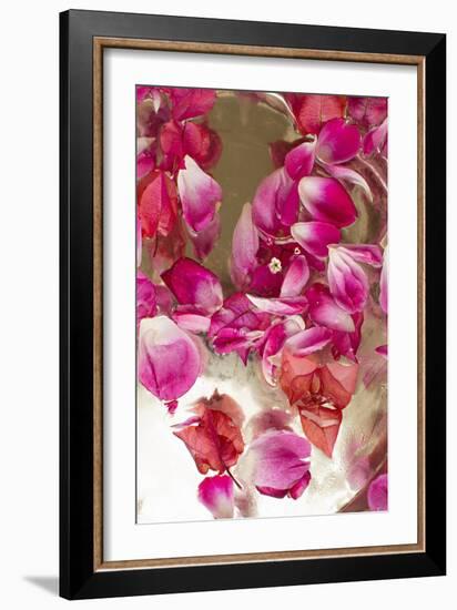 Pink Petals Abstract II-Karyn Millet-Framed Photographic Print