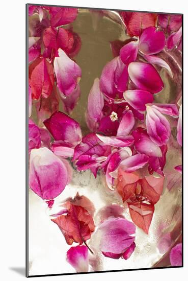 Pink Petals Abstract II-Karyn Millet-Mounted Photographic Print