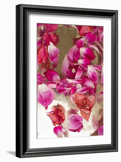 Pink Petals Abstract II-Karyn Millet-Framed Photographic Print